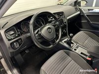 używany VW Golf VII Golf VW1.6 TDI CUP Panorama dach Navi …