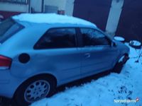 Obraz 3