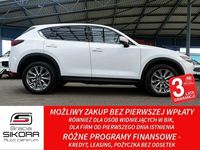 Obraz 2