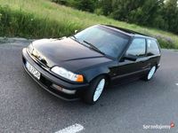 Obraz 3