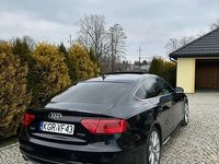 Obraz 3