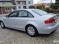 Obraz 3