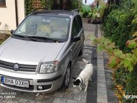 używany Fiat Panda 2 1.2 benzyna 2004