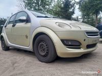 Obraz 3