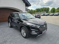 Obraz 3