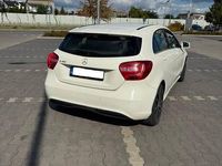 Obraz 3