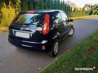 Obraz 3