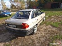 Obraz 3