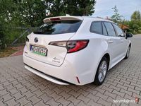 Obraz 3