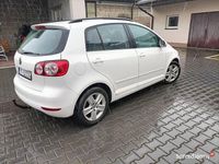 Używany VW Golf Plus Cross 2010 Biały Minivan