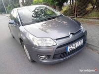Obraz 1