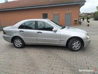 Obraz 3