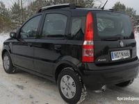 używany Fiat Panda 