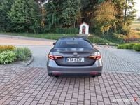 Obraz 3