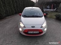 Obraz 1
