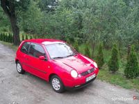Obraz 1