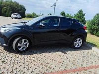 Obraz 3