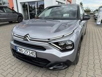 Obraz 2