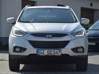 Obraz 3