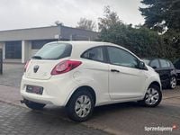 Obraz 3