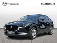 Obraz 1