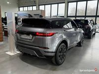 Nowe Land Rover Range Rover evoque SE Dynamic 269 KM (197 kW) 2025 Szary SUV