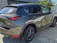 Obraz 3