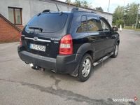 Obraz 3