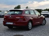 Obraz 3