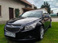 Obraz 2