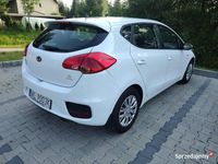 Obraz 3