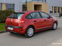 Obraz 3