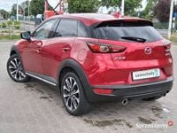 Obraz 3