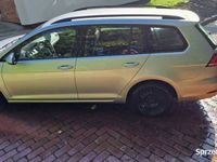 używany VW Golf 1.6 TDI Trendline kombi