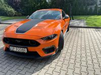 Obraz 3