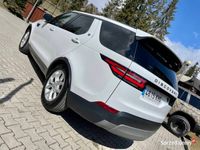 używany Land Rover Discovery 5 2018 rok Europa Pneumatyka