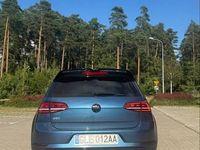 Obraz 3
