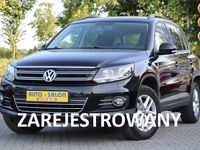 Obraz 1