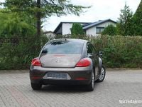 Obraz 3