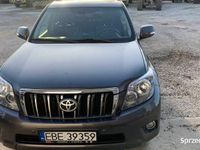 Obraz 3