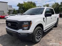 Używany Ford F-150 2023 Pickup