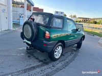 Obraz 3