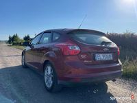 Używany Ford Focus 2013 Hatchback