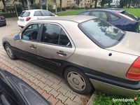 Obraz 3