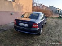 Obraz 1