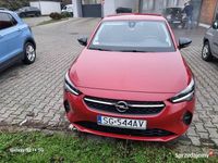 Używany Opel Corsa 2021 Czerwony Hatchback