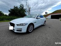 Używany Jaguar XE 2014 Sedan/Limuzyna