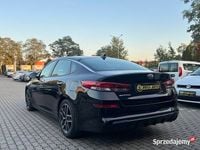 Obraz 3