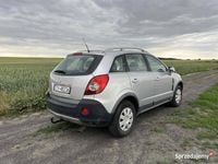 Używany Opel Antara 2006 SUV