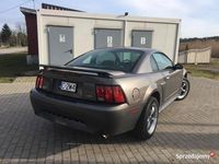 Używany Ford Mustang GT 2003 Grafitowy Coupe